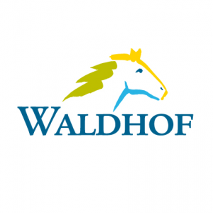 Logotyp: Waldhof
