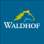 Logotyp: Waldhof